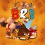 BrownRobinBird
